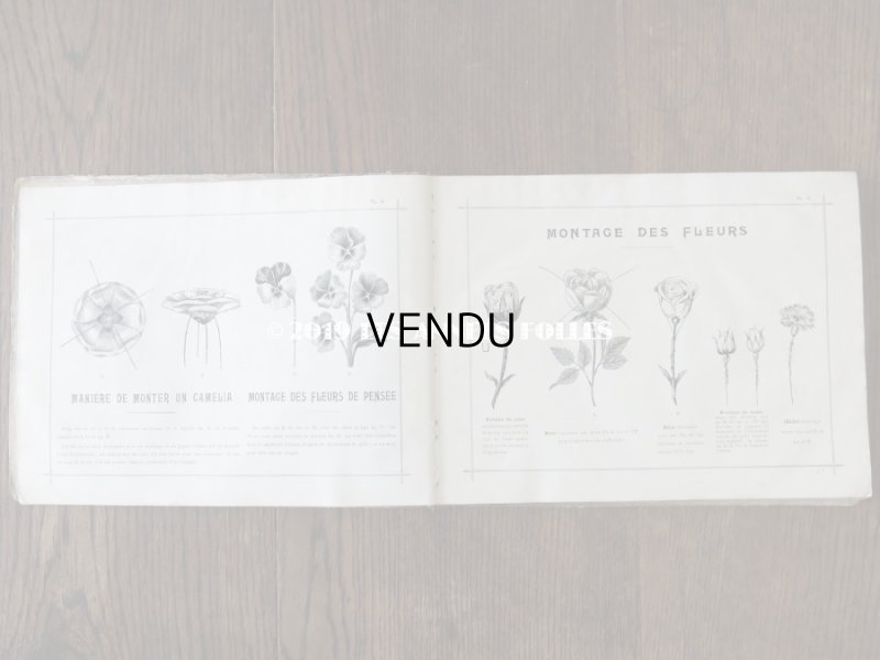 画像5: 1900年代 アンティーク 花屋 フルリストのアルバム ALBUM DU FLEURIST