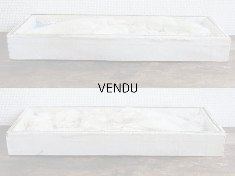 画像7: アンティーク 硝子の蓋のショーケース入り コミュニオンのヘッドリース & オモニエール & ハンカチ プレザントワール