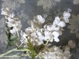 画像8: 19世紀末 アンティーク  オフホワイトの花のコサージュ　布花