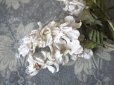 画像11: 19世紀末 アンティーク  オフホワイトの花のコサージュ　布花