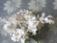 画像4: 19世紀末 アンティーク  オフホワイトの花のコサージュ　布花