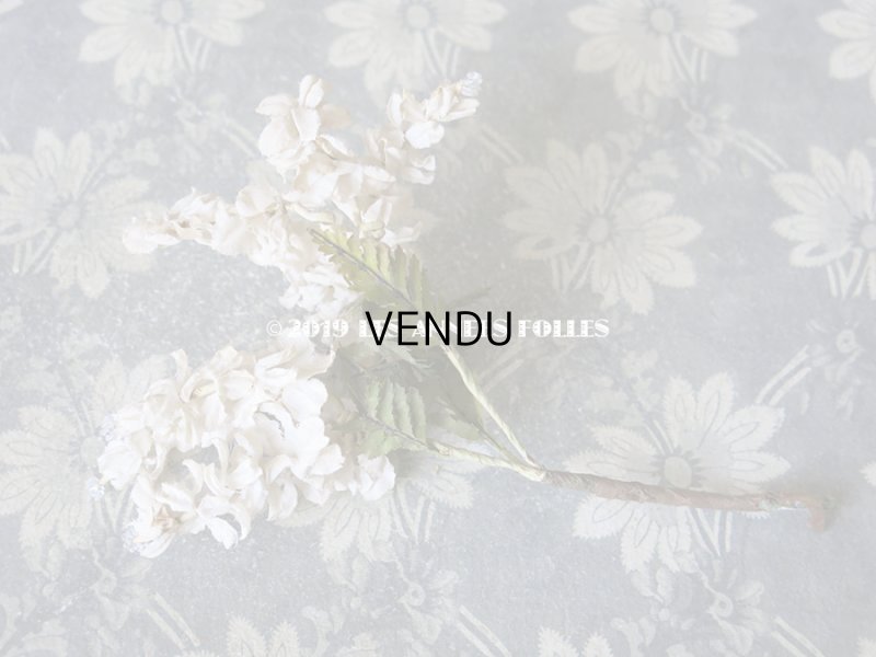 画像10: 19世紀末 アンティーク  オフホワイトの花のコサージュ　布花