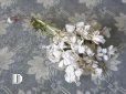 画像13: 19世紀末 アンティーク  オフホワイトの花のコサージュ　布花