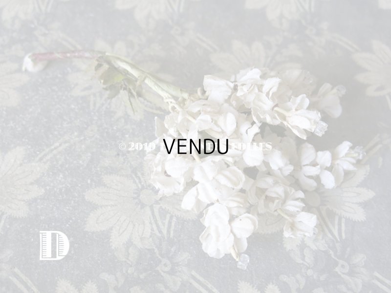 画像13: 19世紀末 アンティーク  オフホワイトの花のコサージュ　布花