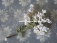 画像14: 19世紀末 アンティーク  オフホワイトの花のコサージュ　布花