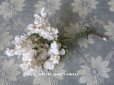画像1: 19世紀末 アンティーク  オフホワイトの花のコサージュ　布花 (1)