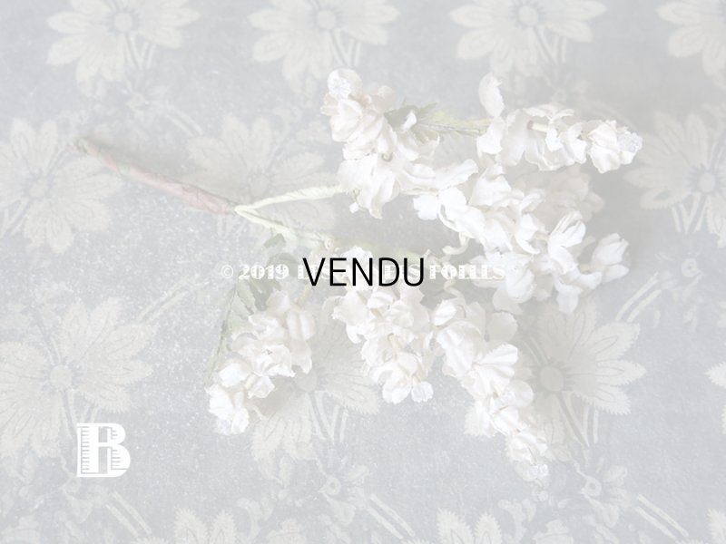 画像5: 19世紀末 アンティーク  オフホワイトの花のコサージュ　布花