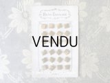 19世紀末 アンティーク メタル製 ボタン ゴールド 7.5mm  24ピース
