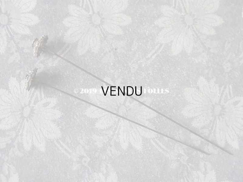 画像4: 19世紀 アンティーク　ビーズ刺繍のハットピン 2ピースのセット