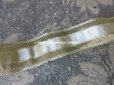 画像2: アンティーク  シルク & メタル製 淡いオリーブグリーンのベルベットリボン 金糸の縁取り 1.45m (2)