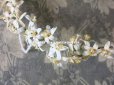 画像9: アンティーク オレンジの花のヘッドリース ワックスフラワー ウェディング 結婚式 ティアラ