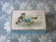画像1: アンティーク ラングドシャのお菓子箱  人形で遊ぶ子猫 LANGUES DE CHATS - Cie D'Orient LYON - (1)