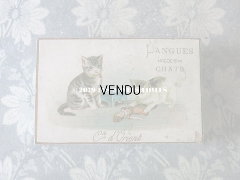 画像3: アンティーク ラングドシャのお菓子箱  人形で遊ぶ子猫 LANGUES DE CHATS - Cie D'Orient LYON -