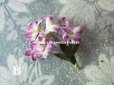 画像6: アンティーク シルクベルベットの小さな布花