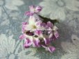 画像7: アンティーク シルクベルベットの小さな布花