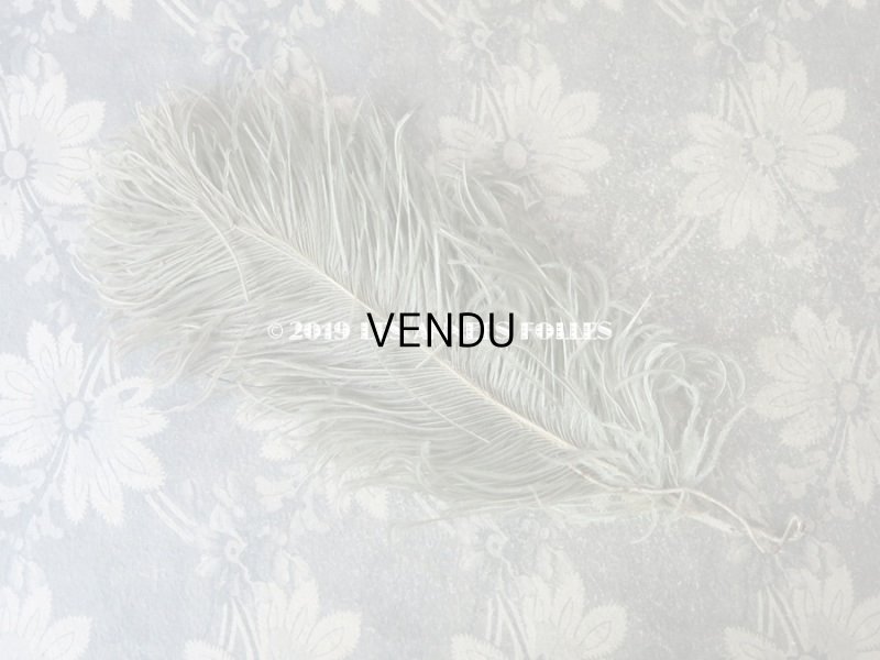 画像3: 19世紀末 アンティーク 小さなフェザー グレイッシュ・ブルーグリーン 羽飾り