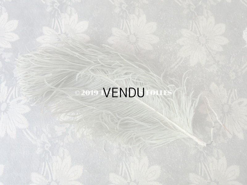 画像7: 19世紀末 アンティーク 小さなフェザー グレイッシュ・ブルーグリーン 羽飾り