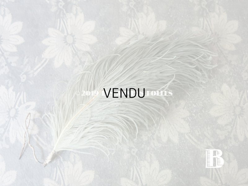 画像5: 19世紀末 アンティーク 小さなフェザー グレイッシュ・ブルーグリーン 羽飾り