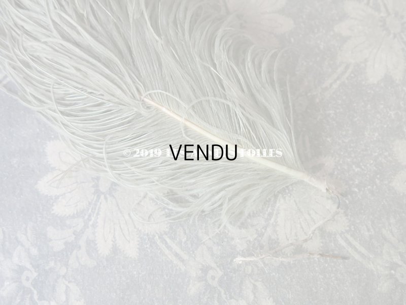 画像6: 19世紀末 アンティーク 小さなフェザー グレイッシュ・ブルーグリーン 羽飾り