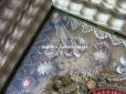 画像10: ＊蚤の市＊19世紀 アンティーク ルリケール ペーパーロール 聖遺物のガラスフレーム  聖人の遺品