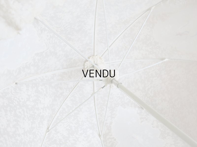 画像19: 1900年代 アンティーク  レースの日傘＆ファン オリジナルボックス入り　