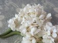 画像6: アンティーク 白い花のコサージュ 布花 