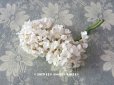 画像1: アンティーク 白い花のコサージュ 布花  (1)