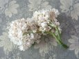 画像4: アンティーク 白い花のコサージュ 布花 