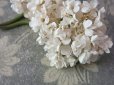 画像5: アンティーク 白い花のコサージュ 布花 