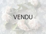 アンティーク 淡いピンクの薔薇のリース