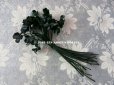 画像3: アンティーク シルクサテンのコサージュ 黒い布花 (3)