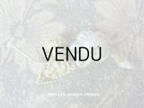 アンティーク 水色の薔薇のロココモチーフ 