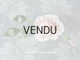 アンティーク 淡いピンクの薔薇のロココモチーフ