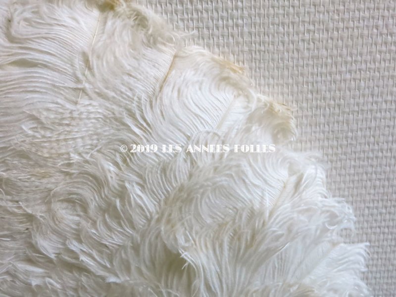 画像4: 1900年代 アンティーク オフホワイトのフェザーのファン