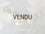 アンティーク シャンパンゴールドの薔薇のロココモチーフ
