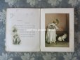 画像5: 1891年 アンティーク 本　水色のリボンをつけた少女と猫　UN GRAND FAVORI