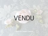 アンティーク 淡いピンクの薔薇のロココモチーフ 