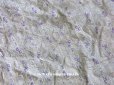 画像1: 1900年代 アンティーク ラベンダー色の小さな薔薇　コットン製ファブリック  (1)