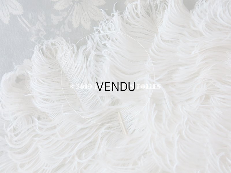 画像6: 1900年代 アンティーク シェル & オフホワイトのフェザーのファン  マザーオブパール (69)