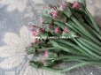 画像5: アンティーク デイジーの蕾の布花 