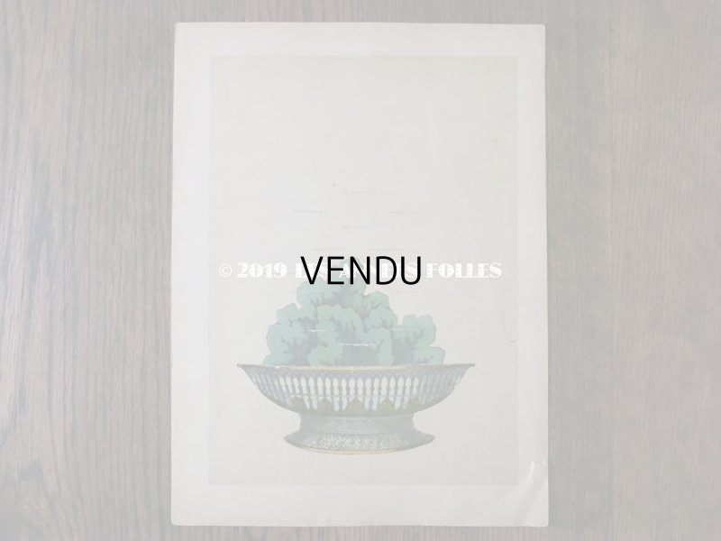 画像11: 1840〜1860年 アンティーク 希少本 子供用遊べる絵本 フラワーアレンジメント L'EMPIRE DE LA REINE DES FLEURS 