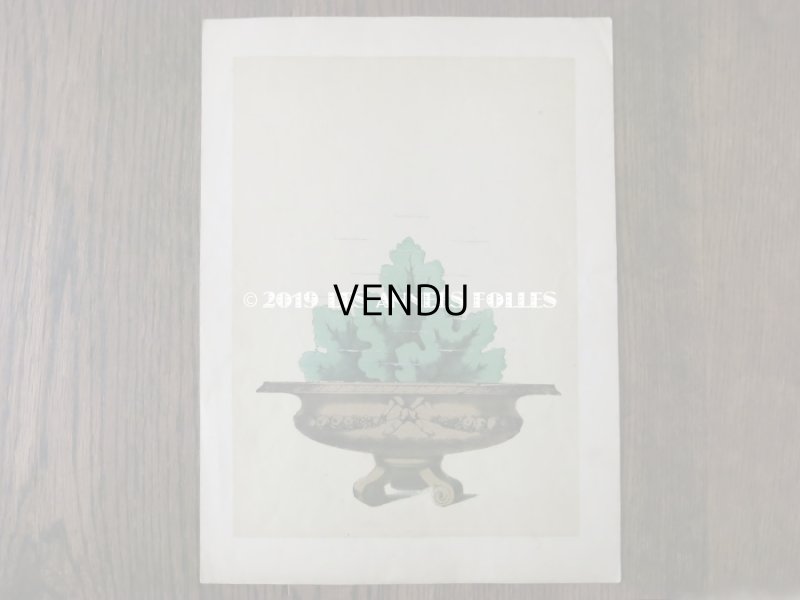 画像10: 1840〜1860年 アンティーク 希少本 子供用遊べる絵本 フラワーアレンジメント L'EMPIRE DE LA REINE DES FLEURS 