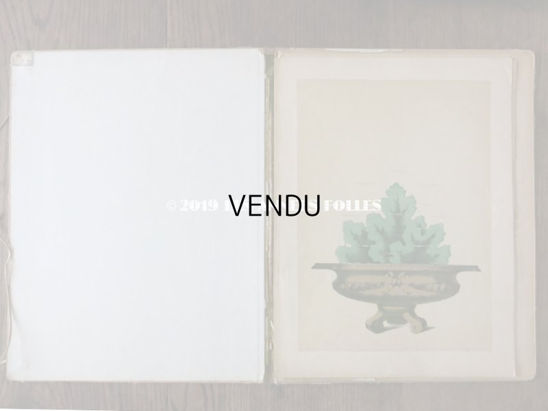 画像7: 1840〜1860年 アンティーク 希少本 子供用遊べる絵本 フラワーアレンジメント L'EMPIRE DE LA REINE DES FLEURS 