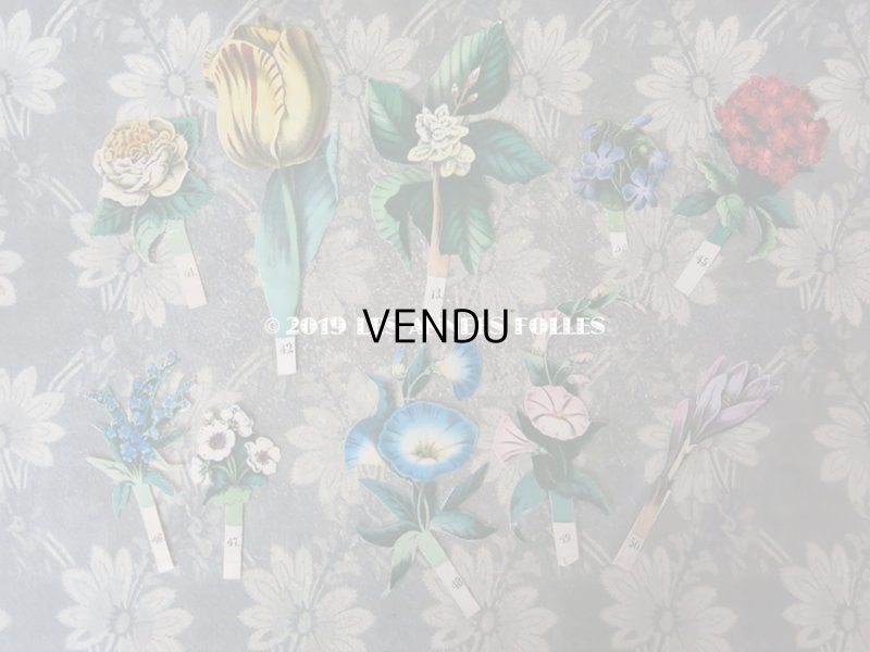 画像18: 1840〜1860年 アンティーク 希少本 子供用遊べる絵本 フラワーアレンジメント L'EMPIRE DE LA REINE DES FLEURS 