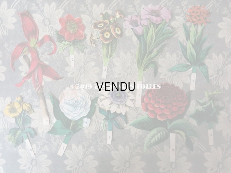 画像14: 1840〜1860年 アンティーク 希少本 子供用遊べる絵本 フラワーアレンジメント L'EMPIRE DE LA REINE DES FLEURS 