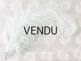 【クリスマスセール2019対象外】 19世紀末 アンティーク 大きなフェザー 淡いグリーンブルー 羽飾り 
