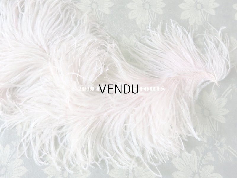 画像6: 【クリスマスセール2019対象外】　19世紀末 アンティーク フェザー パウダーピンク