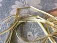 画像2: アンティーク  リボン刺繍 & ロココトリム用 シルク製 リボン 4mm幅 カーキ色 5m RUBANS TRIANON POUR BRODERIES DE STYLE NUANCE 11  (2)
