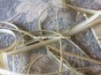 画像3: アンティーク  リボン刺繍 & ロココトリム用 シルク製 リボン 4mm幅 カーキ色 約5m RUBANS TRIANON POUR BRODERIES DE STYLE NUANCE 136 (3)