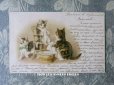 画像1: 1902年 アンティークポストカード  猫の親子 (1)